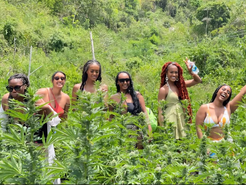 Falmouth & Trelawny Jamaica